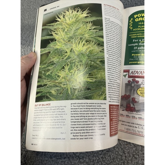 High Times March 2005 Bob Marley Tribute/17th Cannabis Cup - Picture 10 of 16